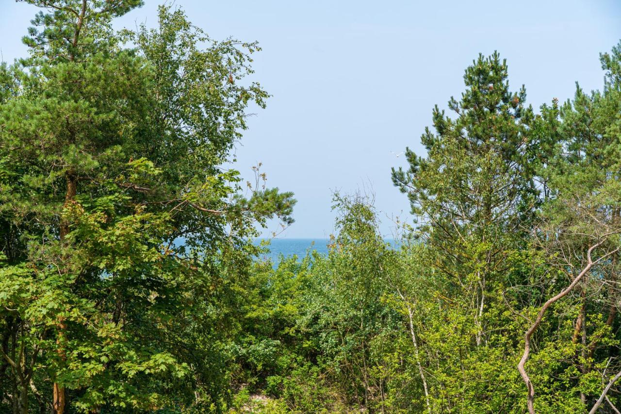 Natural Apartamenty Дарволко Екстериор снимка